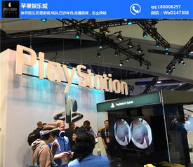 武汉汇誉网络科技 聚焦北京游戏市场，以网络游戏与计算机网络工程技术服务双轮驱动