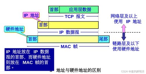 计算机网络知识点总结之网络层（一）